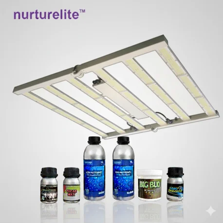 culture-hydroponique2641842