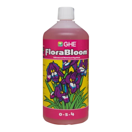 culture-hydroponique2644899