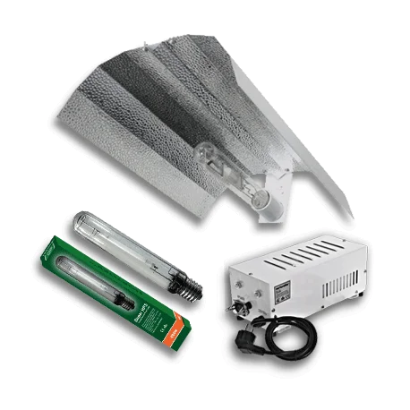 culture-hydroponique2645384