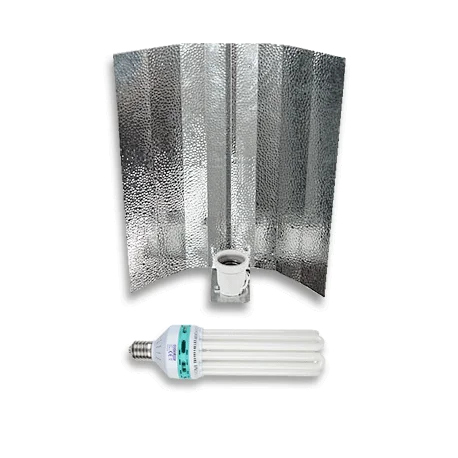 culture-hydroponique2645880