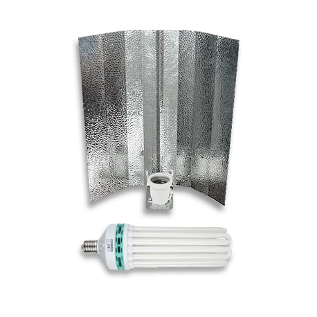 culture-hydroponique2645939