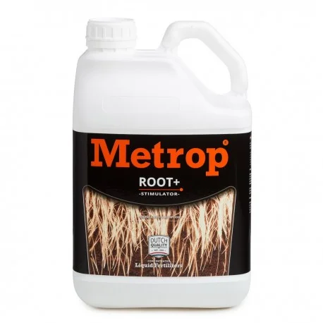 culture-hydroponique2646169