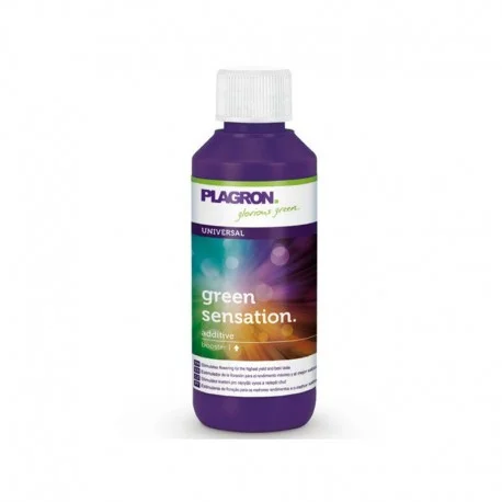 culture-hydroponique2646602