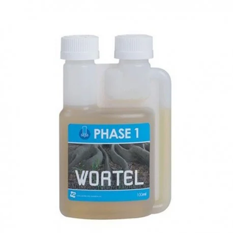 culture-hydroponique2647476