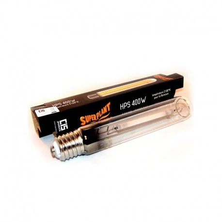 culture-hydroponique2647820
