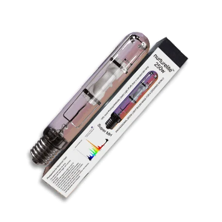 culture-hydroponique2648135
