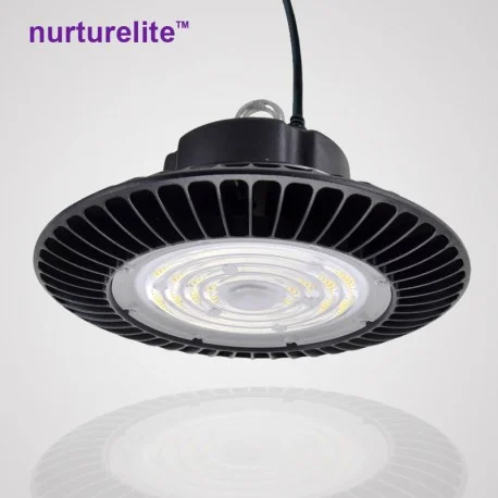 culture-hydroponique2649033