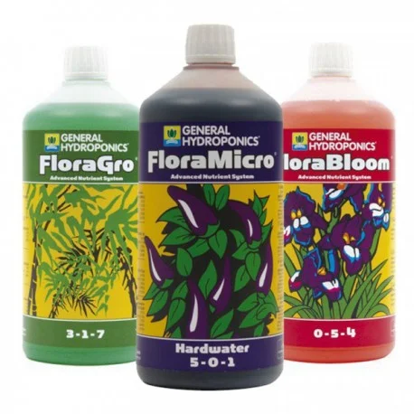 culture-hydroponique2649955