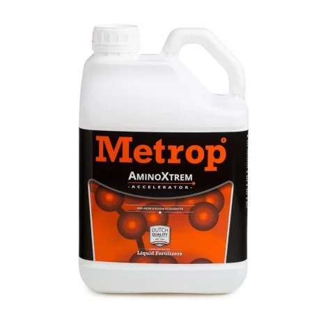 culture-hydroponique2650260