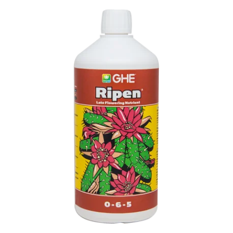 culture-hydroponique2650374