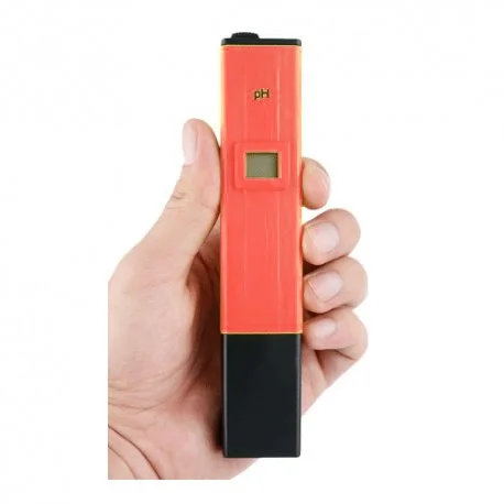 culture-hydroponique2652912