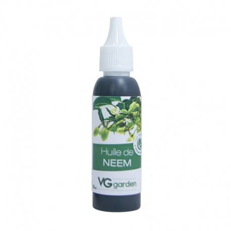 culture-hydroponique2654901