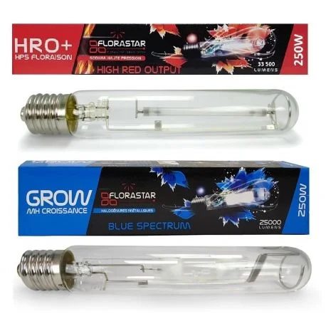 hydrozone2680903