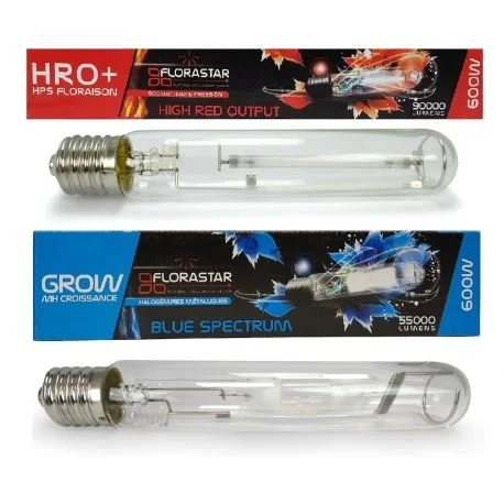 hydrozone2681056