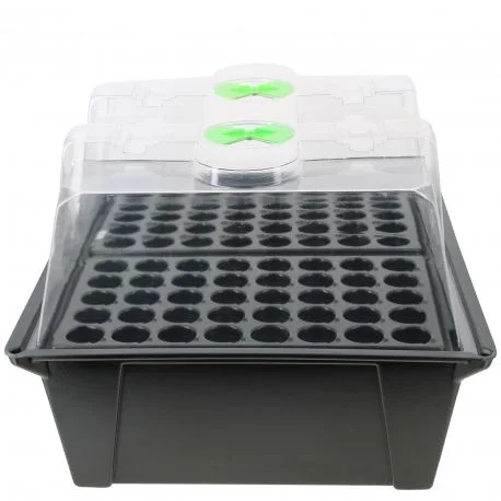 hydrozone2681532