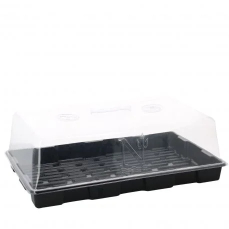 hydrozone2687455