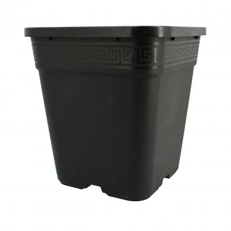 hydrozone2706243