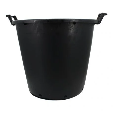 hydrozone2709948