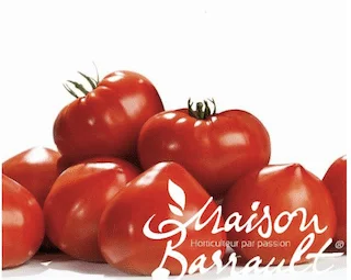 jardins-alternatifs-grenoble2767357