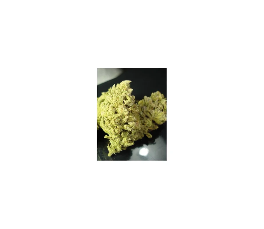 lahuertagrowshop2650633