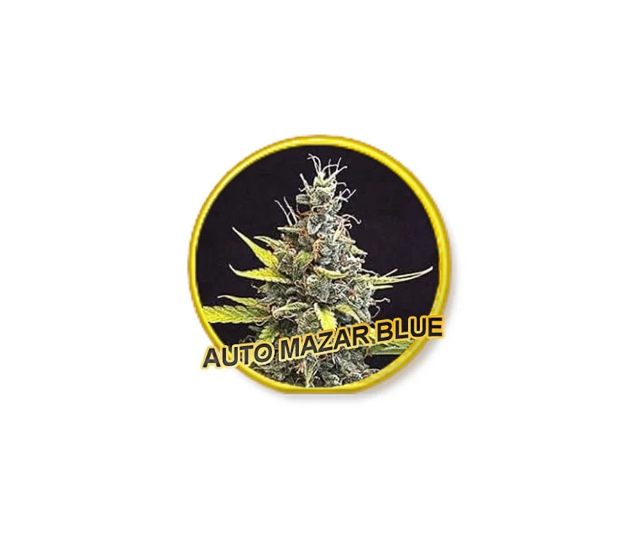 lahuertagrowshop2683665
