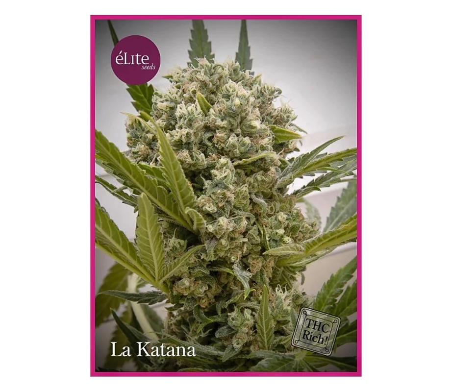 lahuertagrowshop2686326