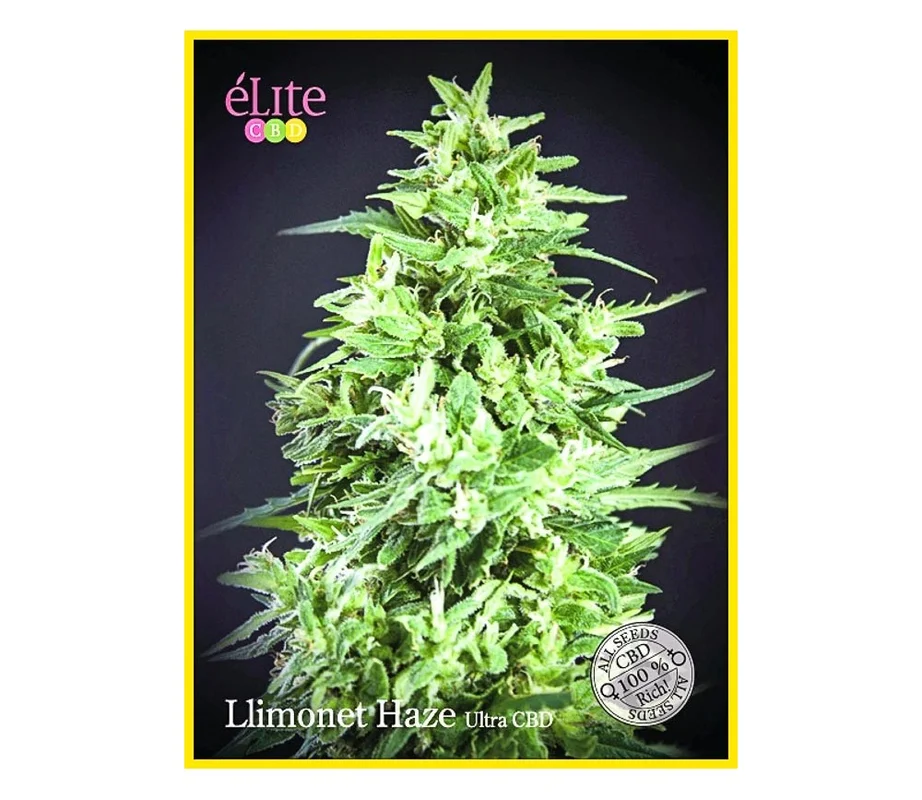 lahuertagrowshop2686451