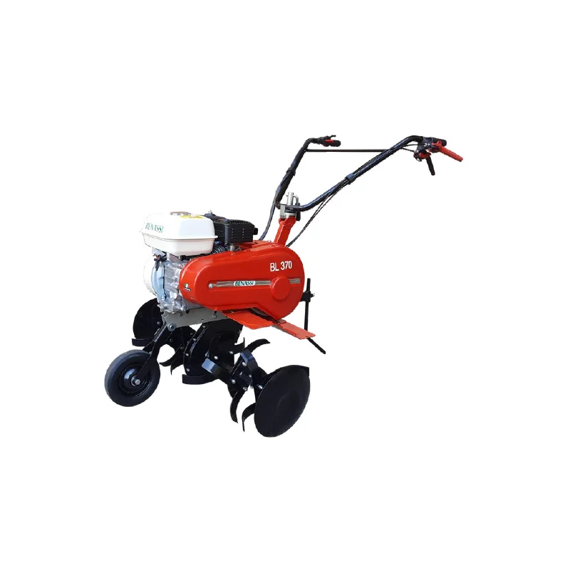 newgardenstore-12770052
