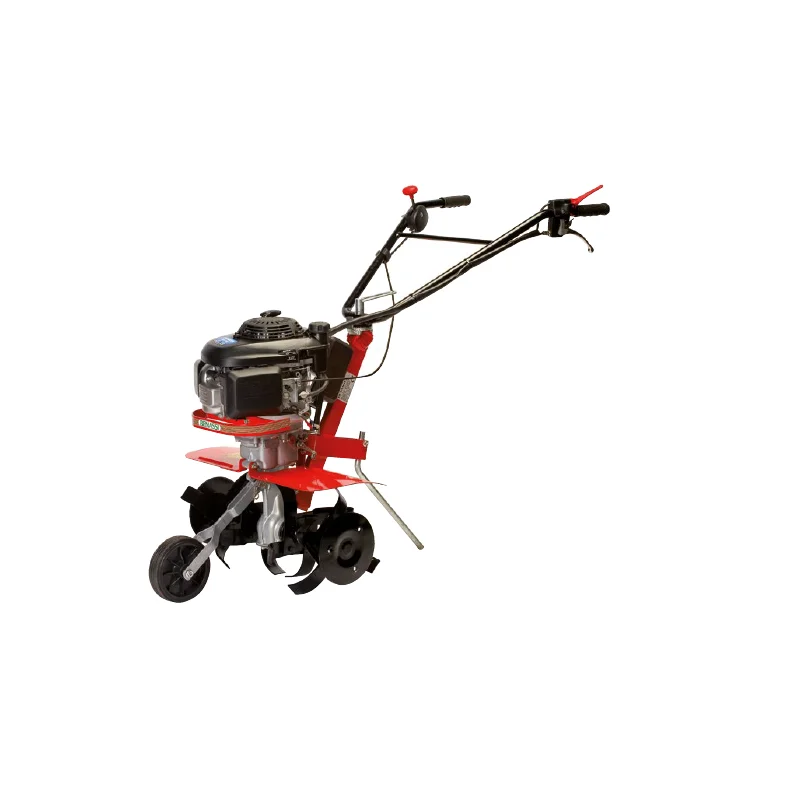newgardenstore-12770106