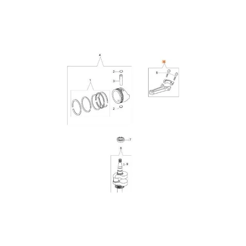newgardenstore-13066567