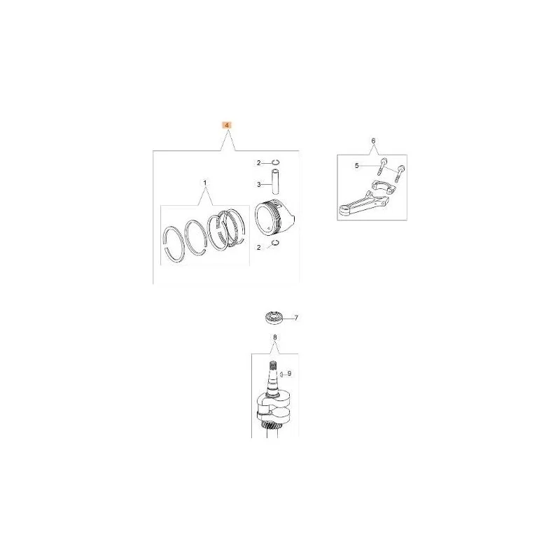 newgardenstore-13084851