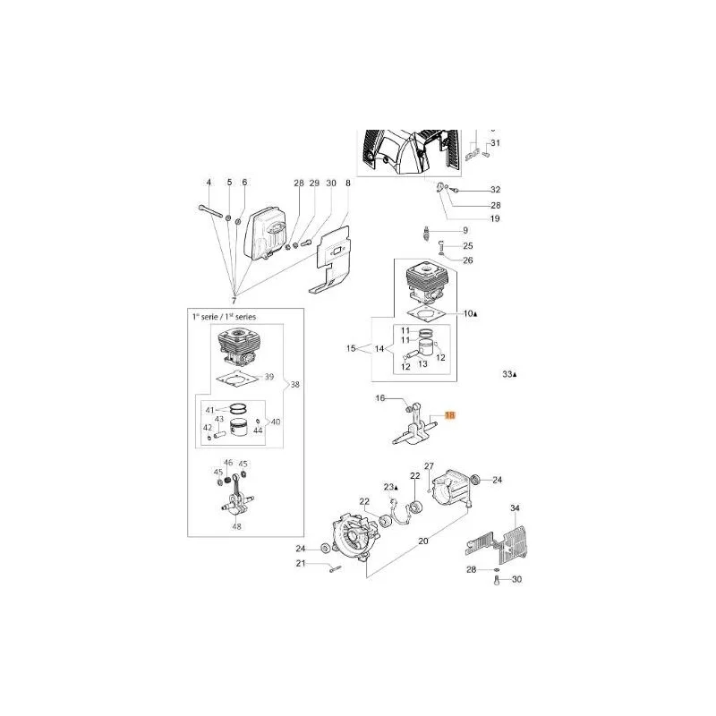 newgardenstore-13102682