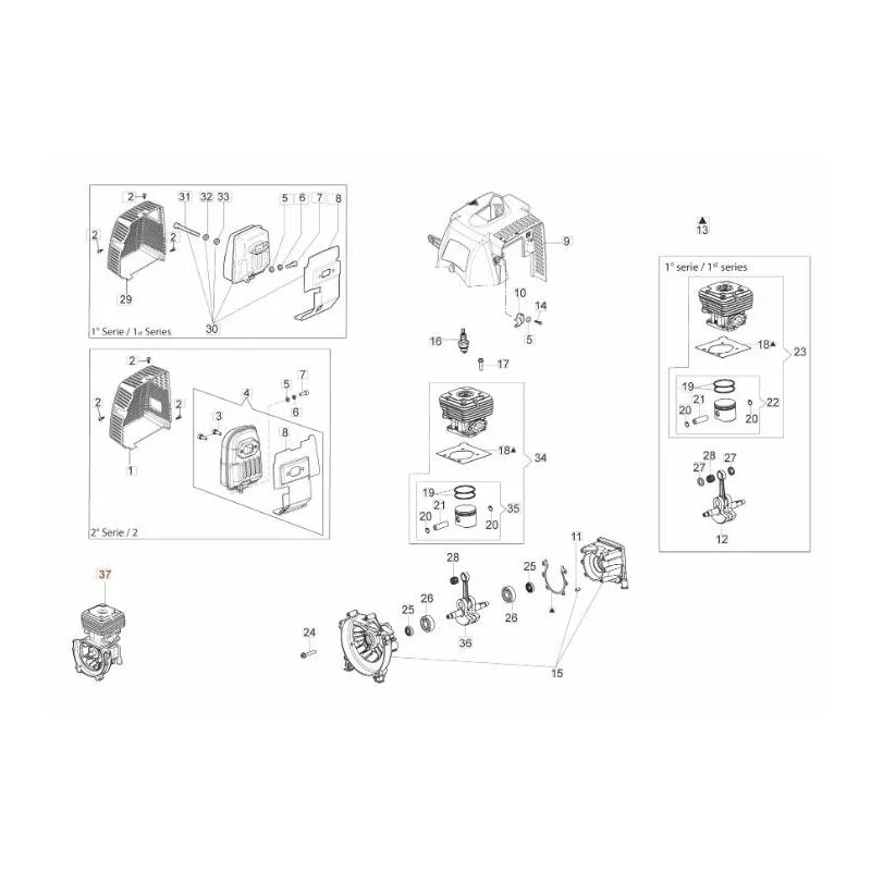 newgardenstore-13111973