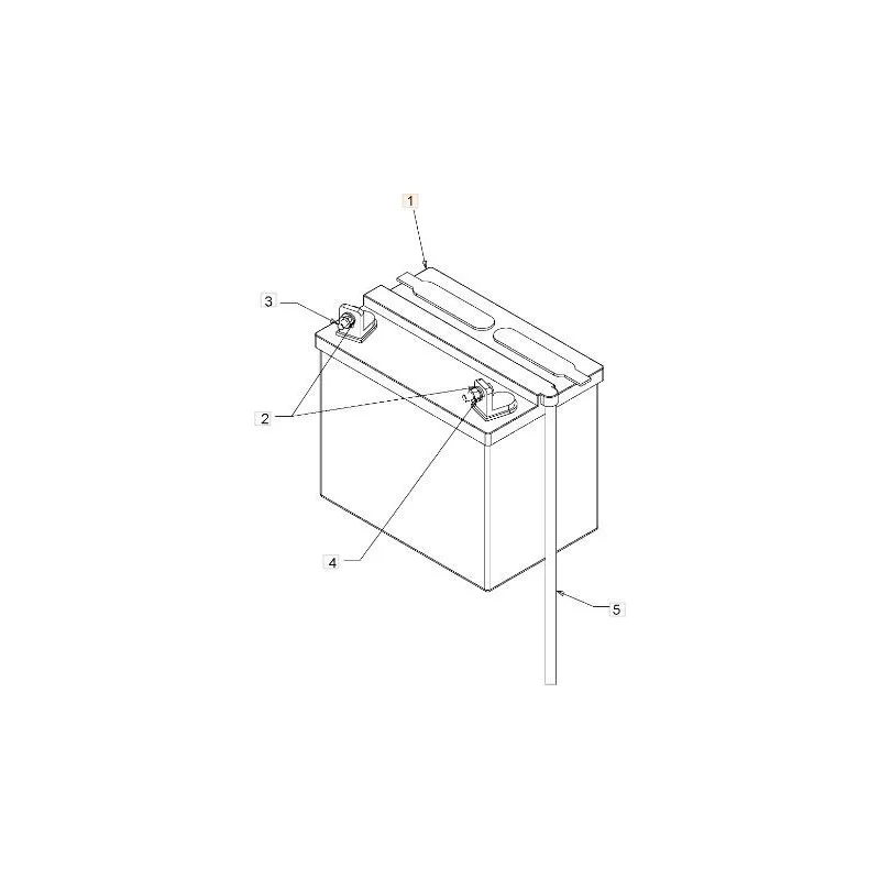 newgardenstore-13113460