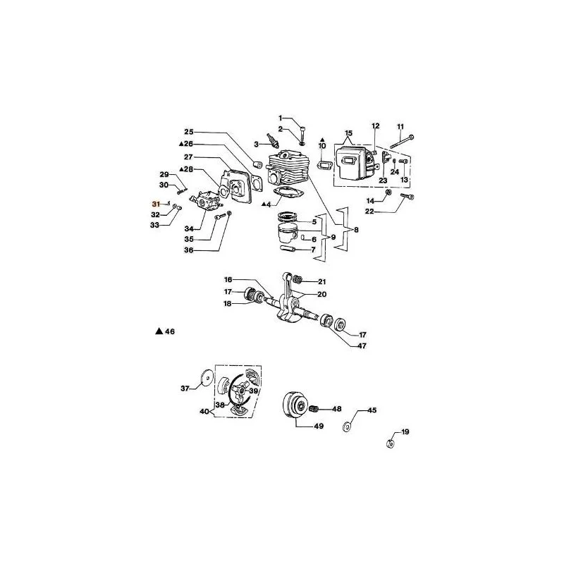 newgardenstore-13117867
