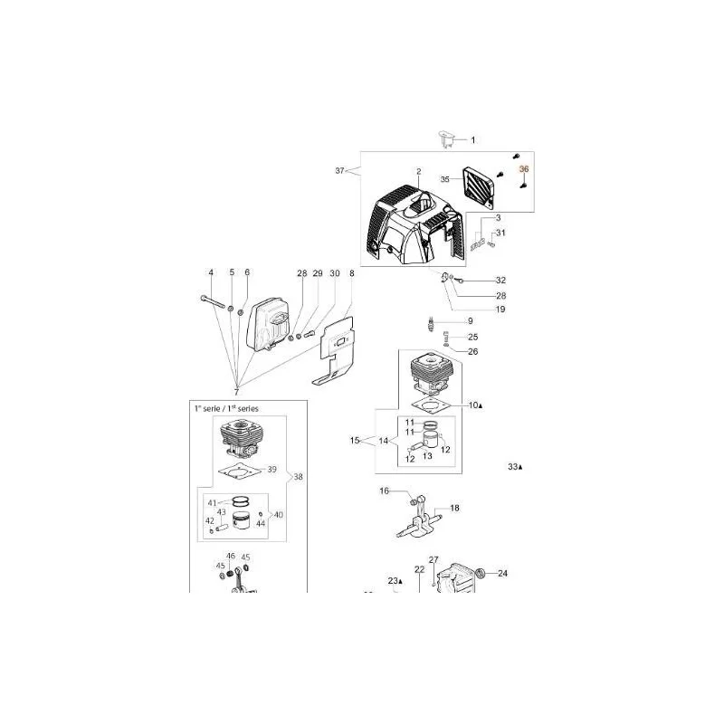 newgardenstore-13118838