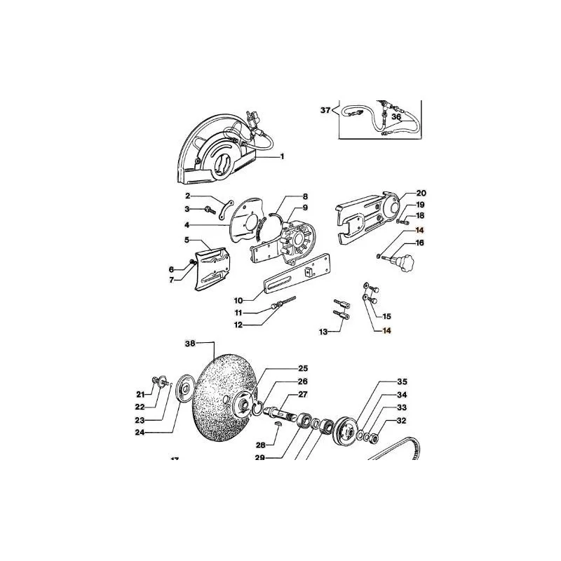 newgardenstore-13122952