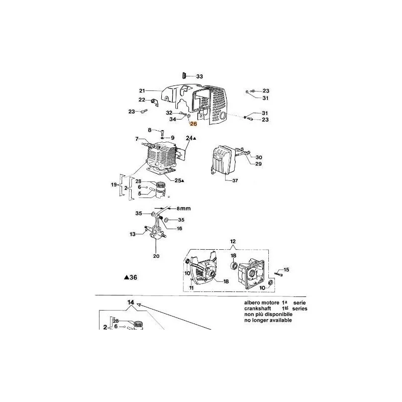 newgardenstore-13124459