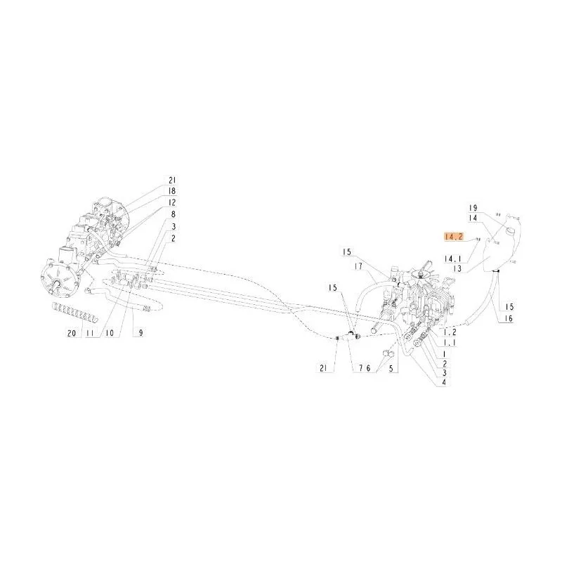 newgardenstore-13129828