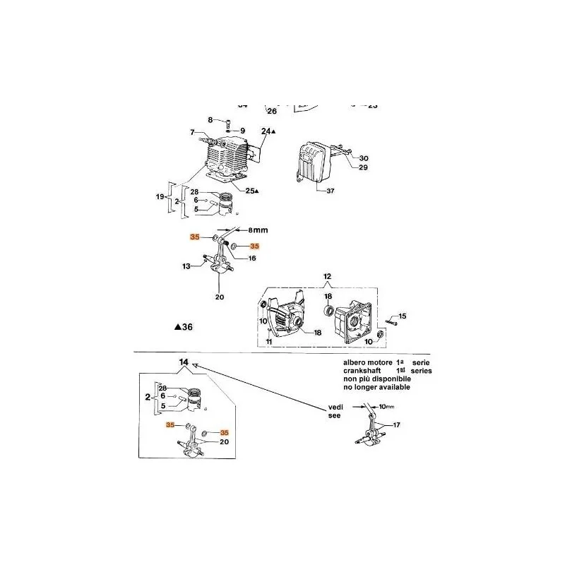 newgardenstore-13131264