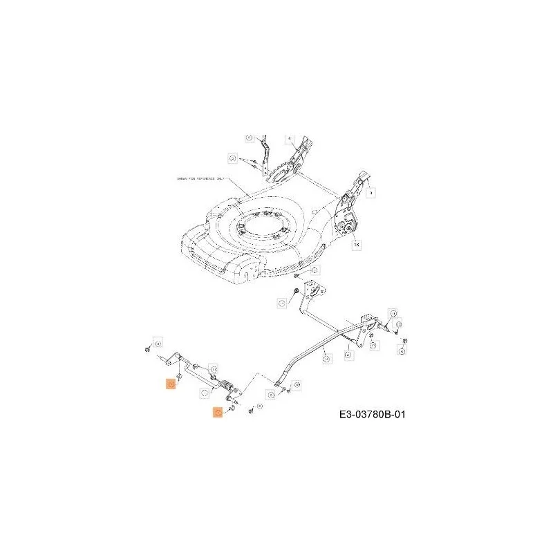 newgardenstore-13134155