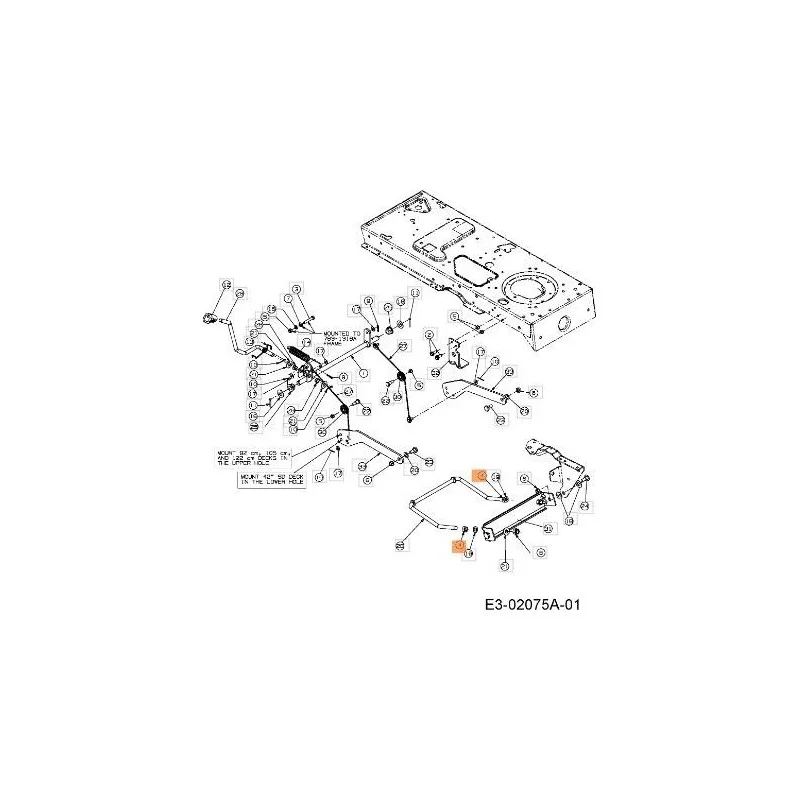 newgardenstore-13149071