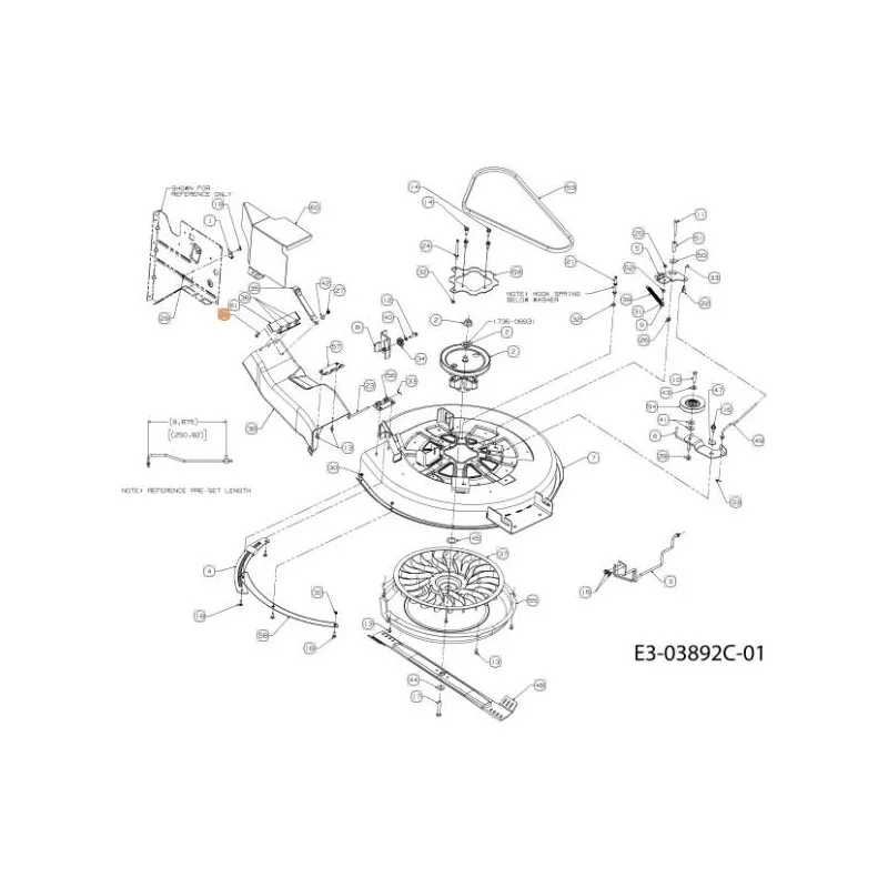 newgardenstore-13151857