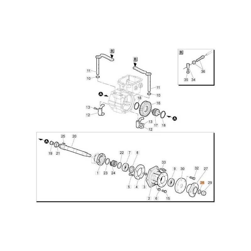 newgardenstore-13153831