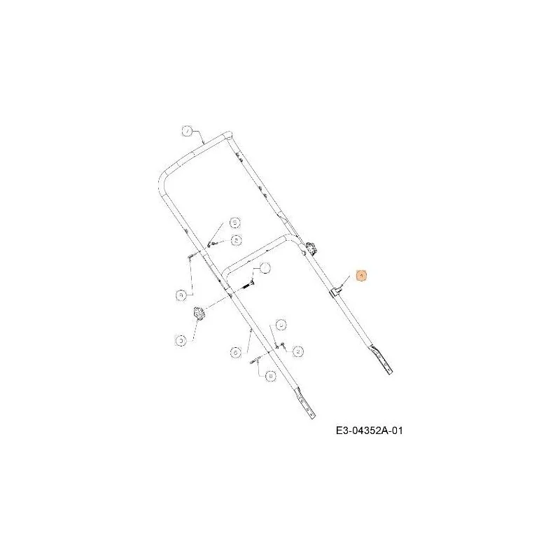 newgardenstore-13159372