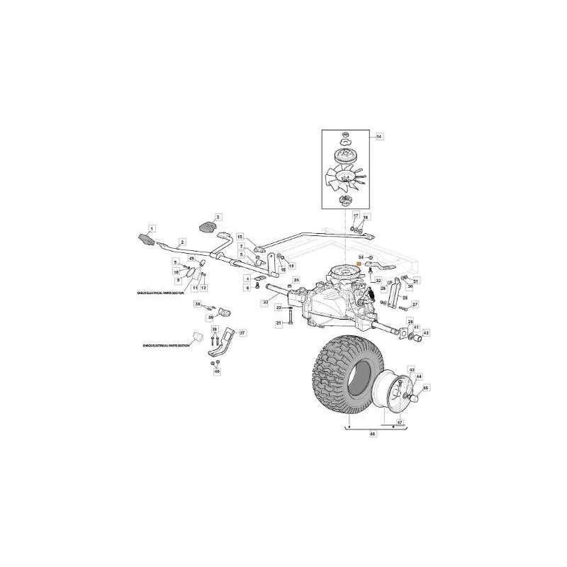 newgardenstore-13186863