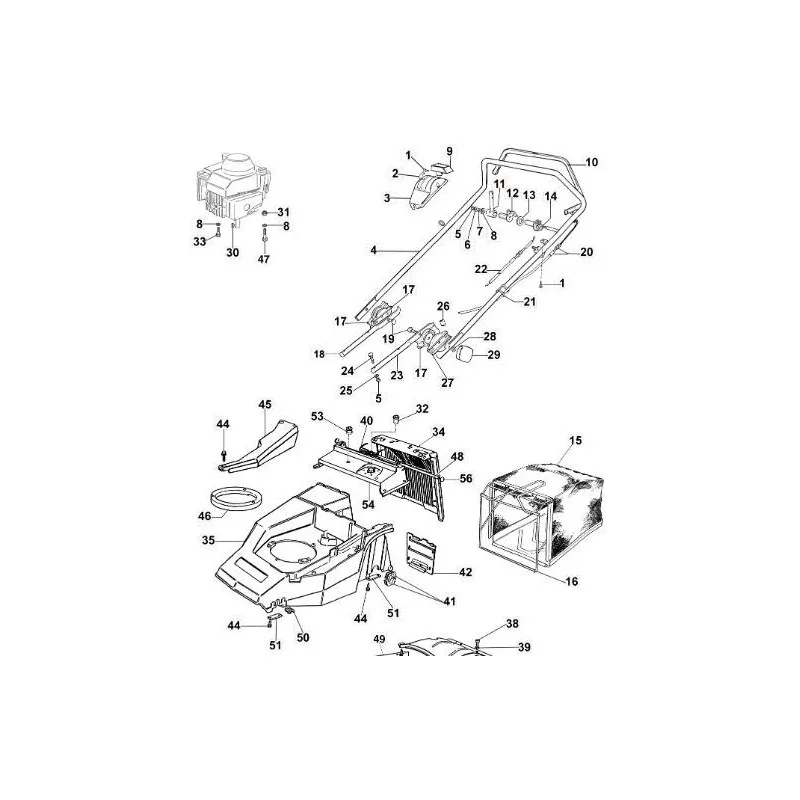 newgardenstore-13207908