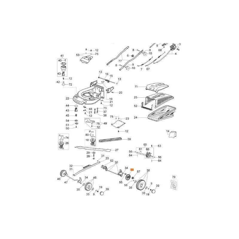 newgardenstore-13209425
