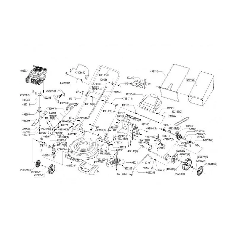 newgardenstore-13650030