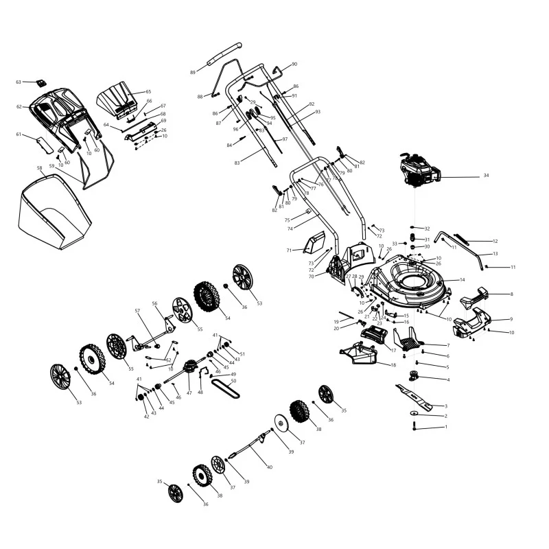 newgardenstore-13721456